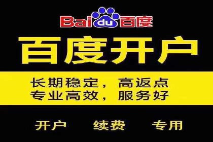 竞价广告投放策略，代运营公司的成功实践